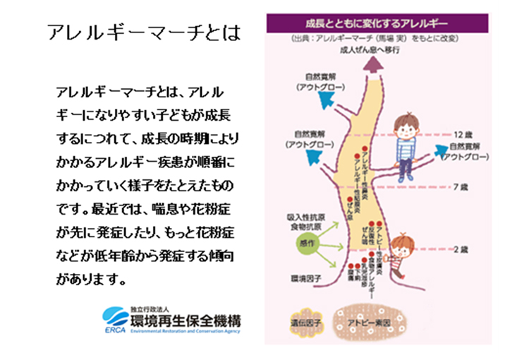 出典:独立行政法人 環境再生保全機構