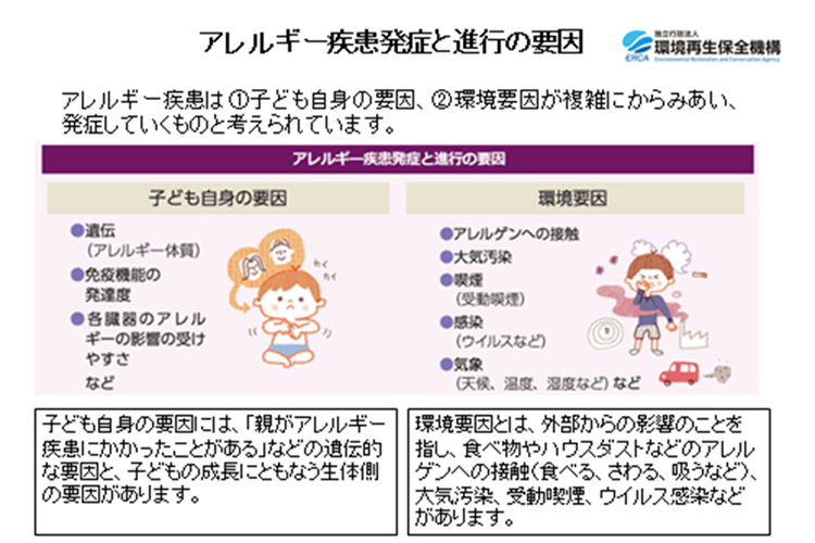 出典:独立行政法人 環境再生保全機構